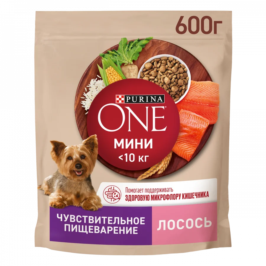 Сухой корм Purina ONE® Мини Чувствительная для взрослых собак мелких пород с чувствительным пищеварением, с лососем и рисом, Пакет, 600 г