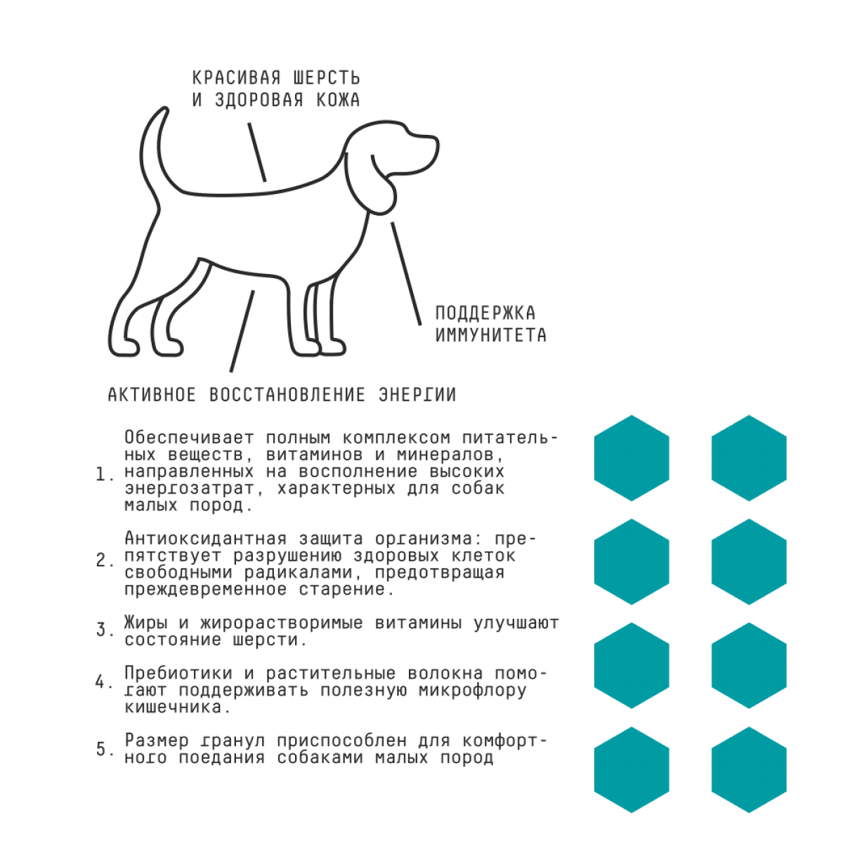 Сухой корм AJO BASIC LINE MINI ADULT для взрослых собак маленьких пород с курицей и гречкой, 2 кг