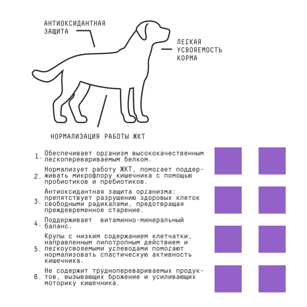 Сухой корм для взрослых собак с чувствительным пищеварением AJO SPECIAL LINE SENSE с индейкой, ягненком и гречкой, 2 кг