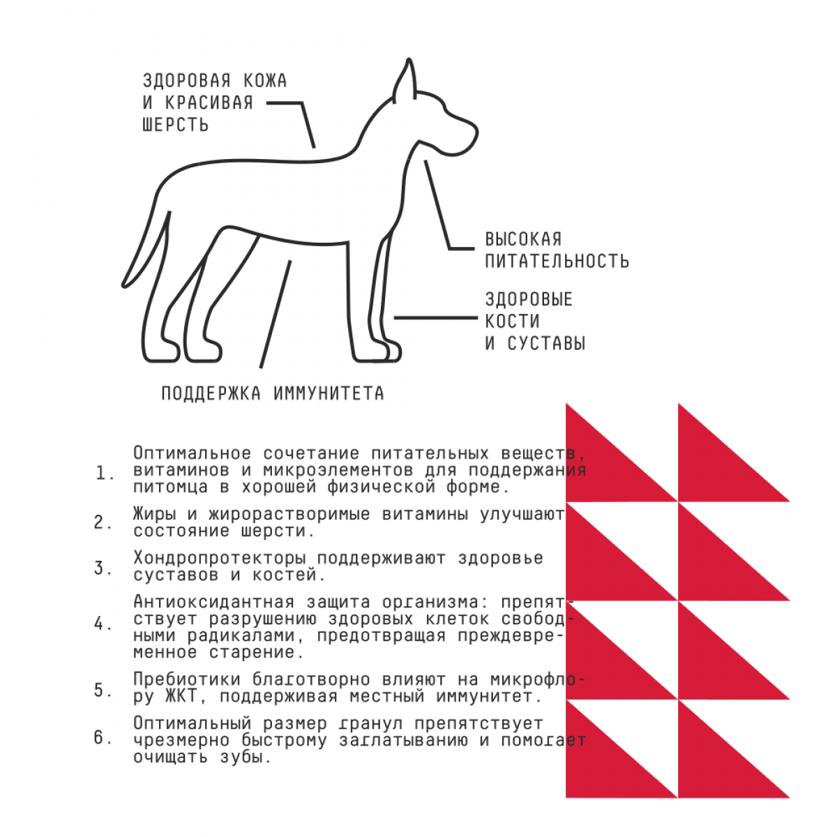 Сухой корм для взрослых собак крупных пород AJO BASIC LINE MAXI ADULT с олениной, индейкой и гречкой, 2 кг