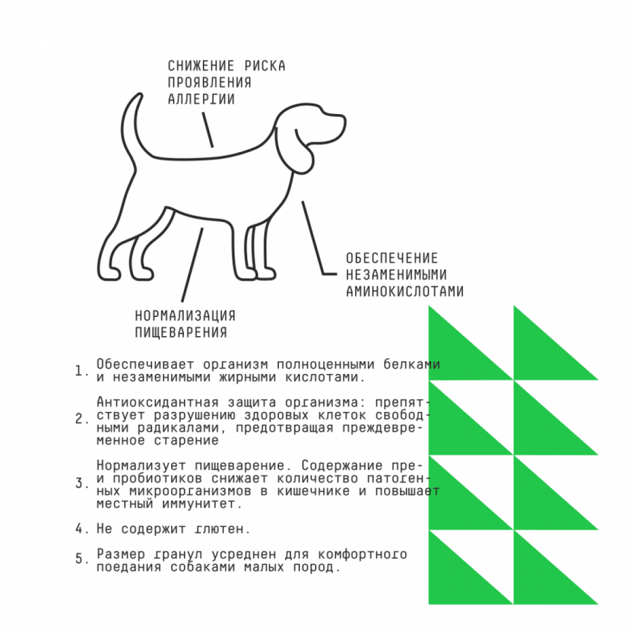 Сухой корм для взрослых собак миниатюрных и малых пород склонных к аллергии AJO SPECIAL LINE MINI HYPOALLERGENIC с индейкой и гречкой, 2 кг