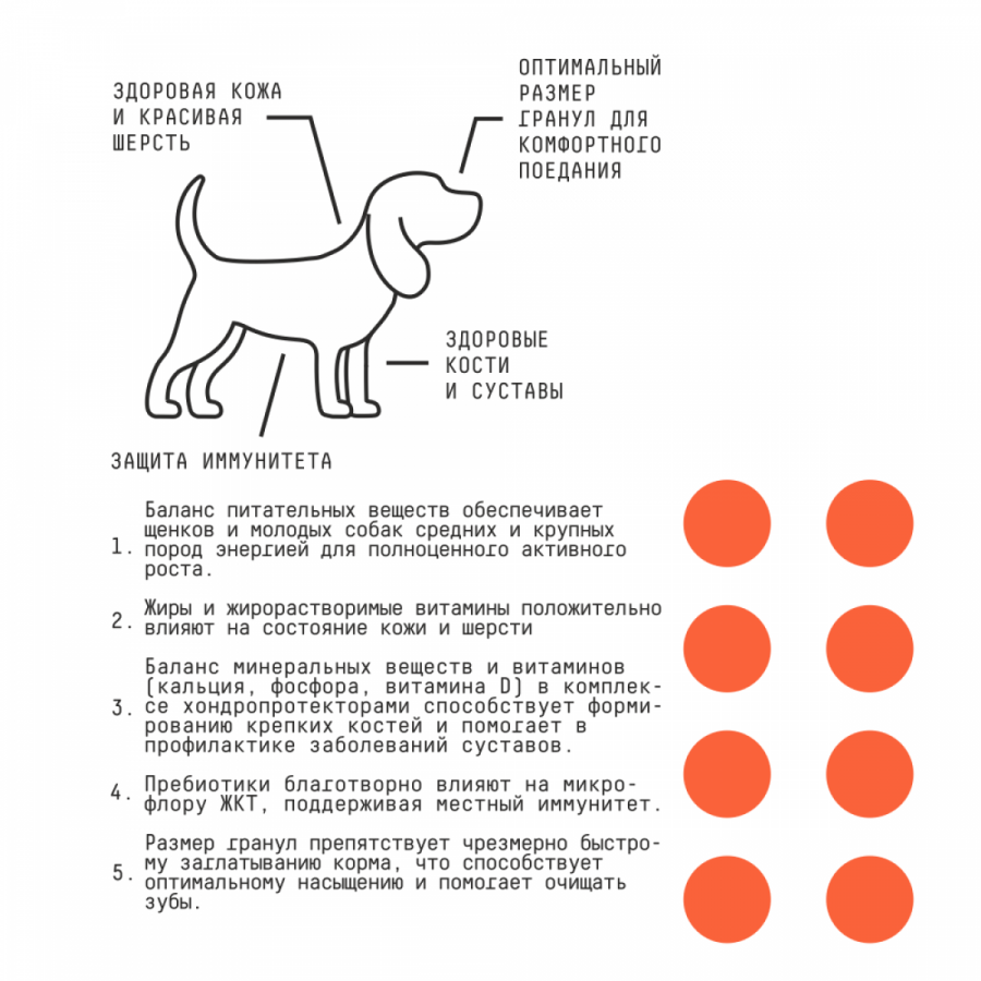 Сухой корм для щенков и молодых собак средних и крупных пород AJO BASIC LINE PUPPY & JUNIOR с индейкой и гречкой 2 кг