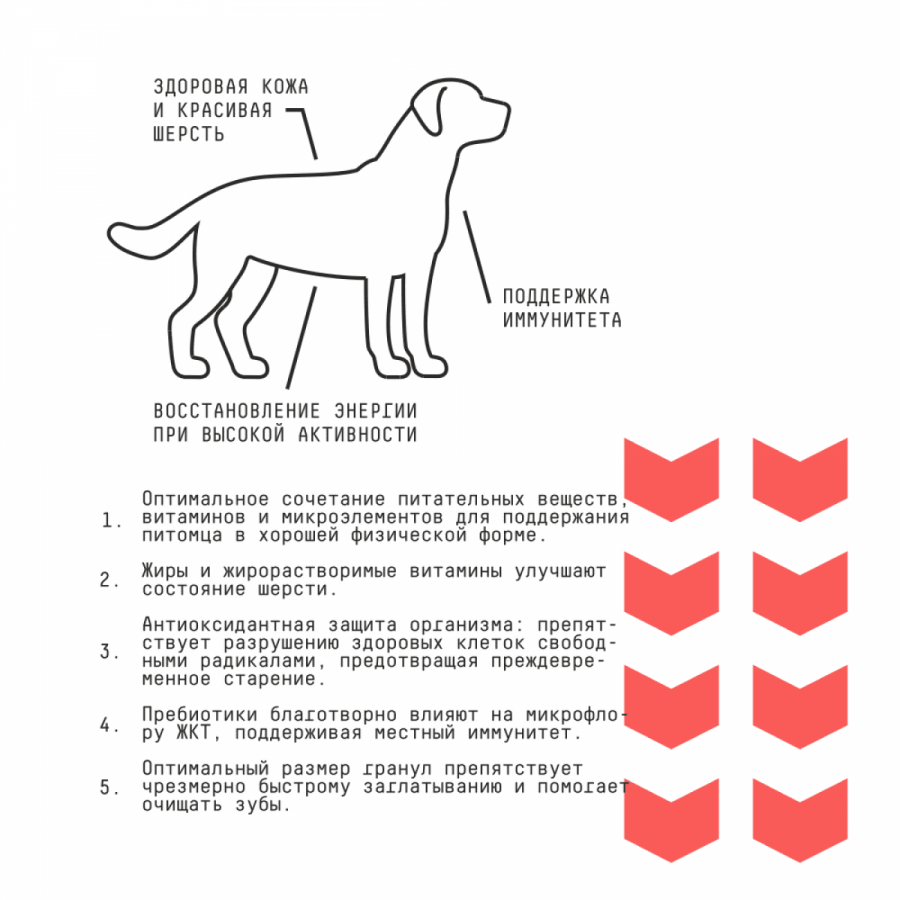 Сухой корм для взрослых собак средних пород AJO BASIC LINE MEDIUM ADULT с говядиной и гречкой, 2 кг