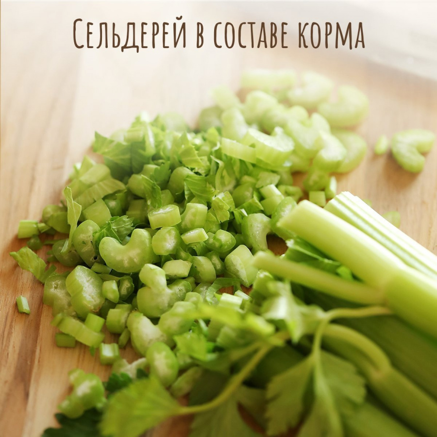 Сухой корм премиум класса SIRIUS для взрослых кошек, лосось и рис, 1,5 кг